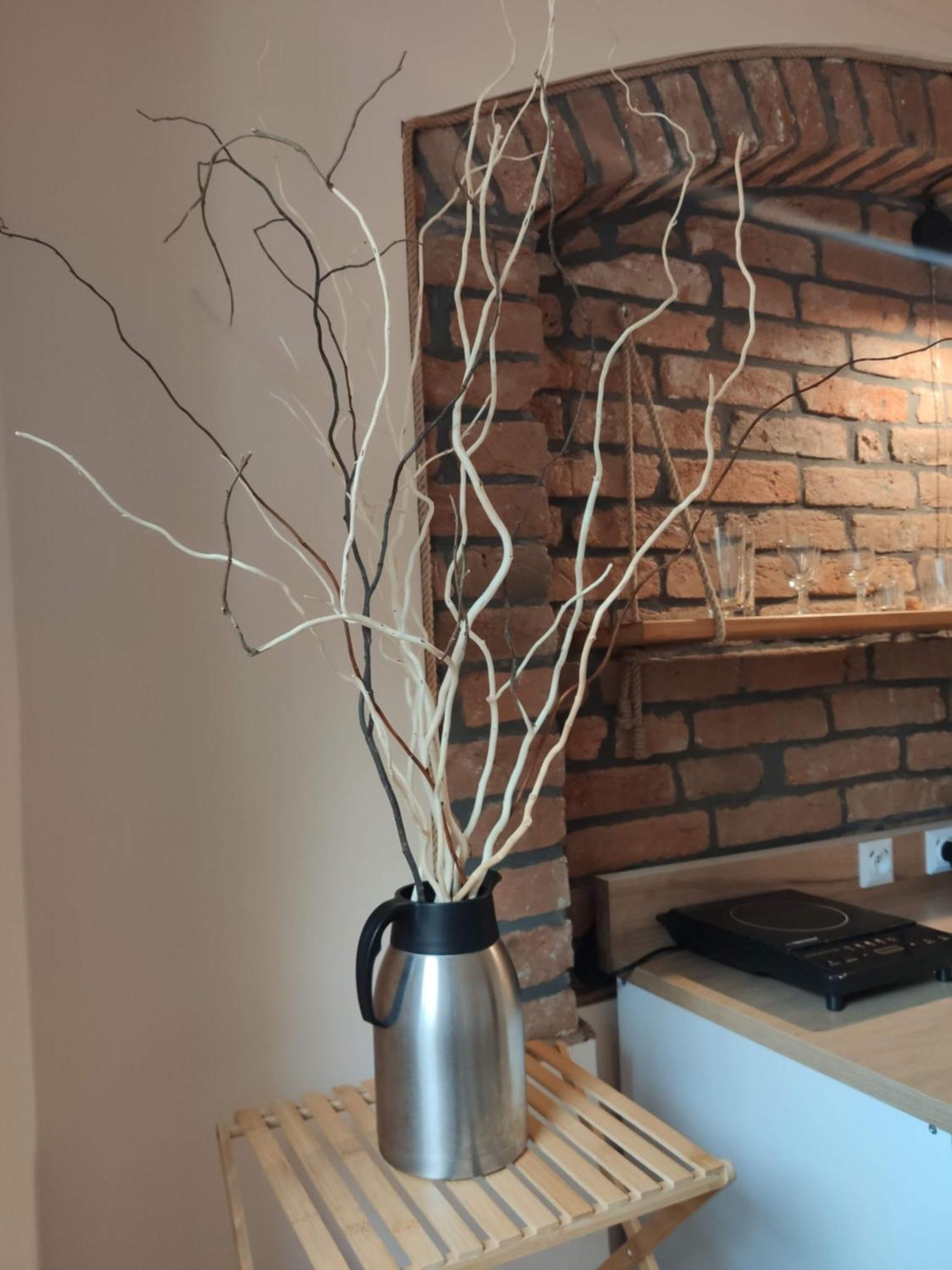 Apartamenty I Pokoje Goscinne "Wacus" Srebrna Góra Exterior foto
